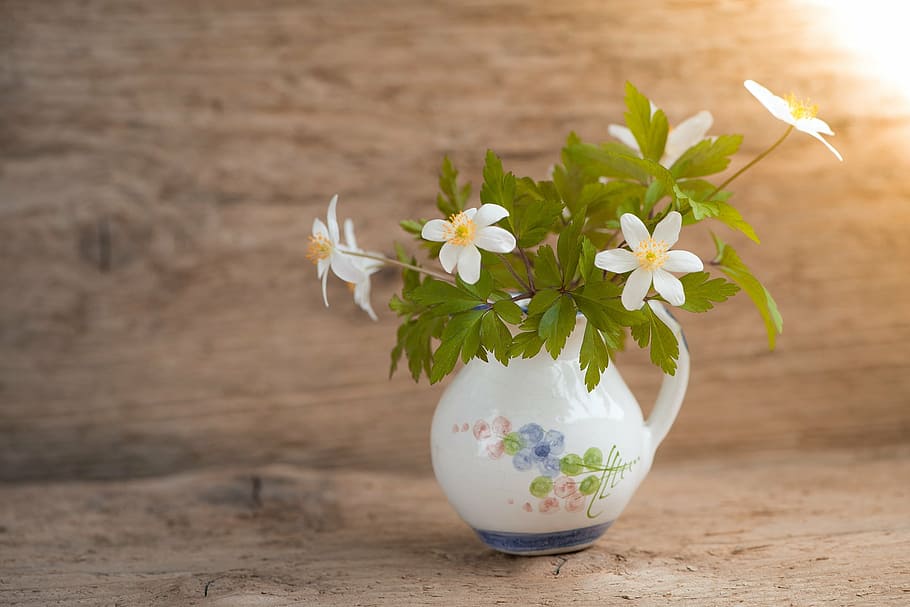 selective focus photo of white petaled flowers with vase, bush-windröschen, HD wallpaper