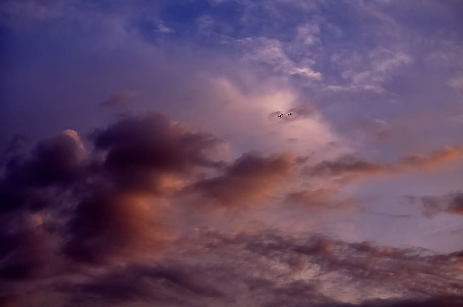 cloudscape, sky, blue, nature, light, view, scene, cloudy, beautiful HD wallpaper