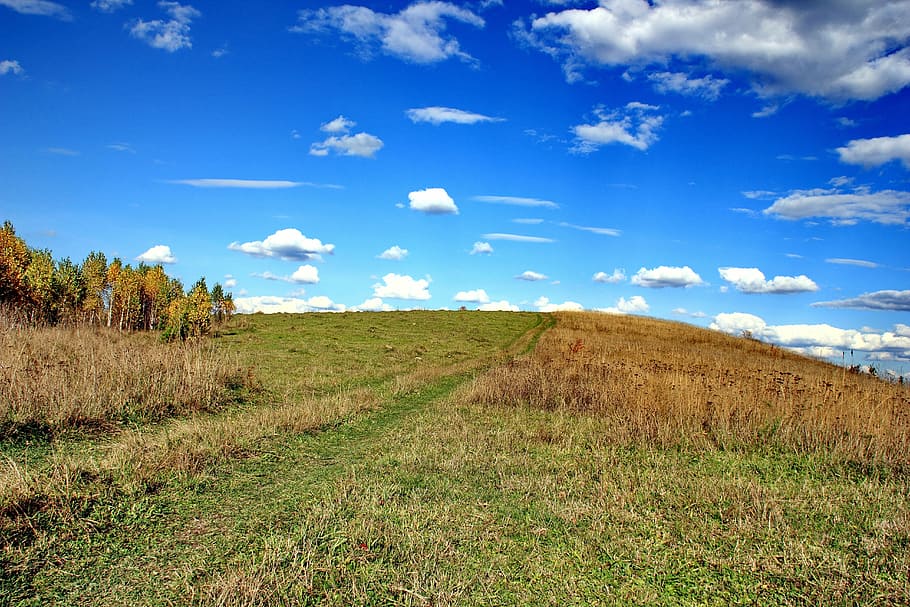 autumn, road, sky, landscape, environment, plant, cloud - sky HD wallpaper