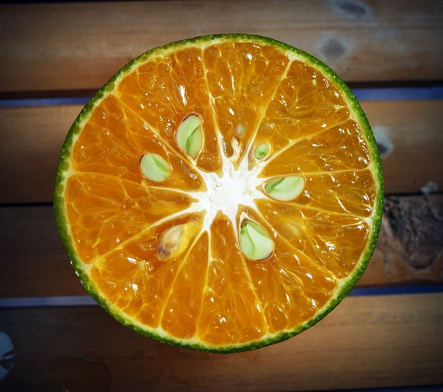 orange, fruit, slice, white, citrus, sour, isolated, agriculture HD wallpaper