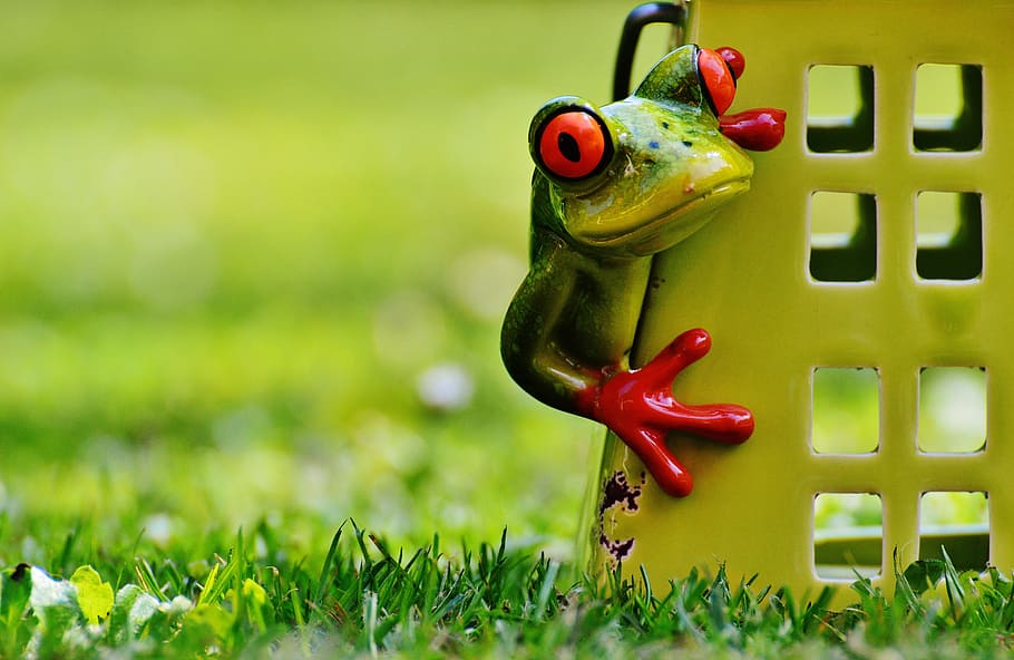 frog, home, funny, cute, sweet, decoration, figure, at home HD wallpaper