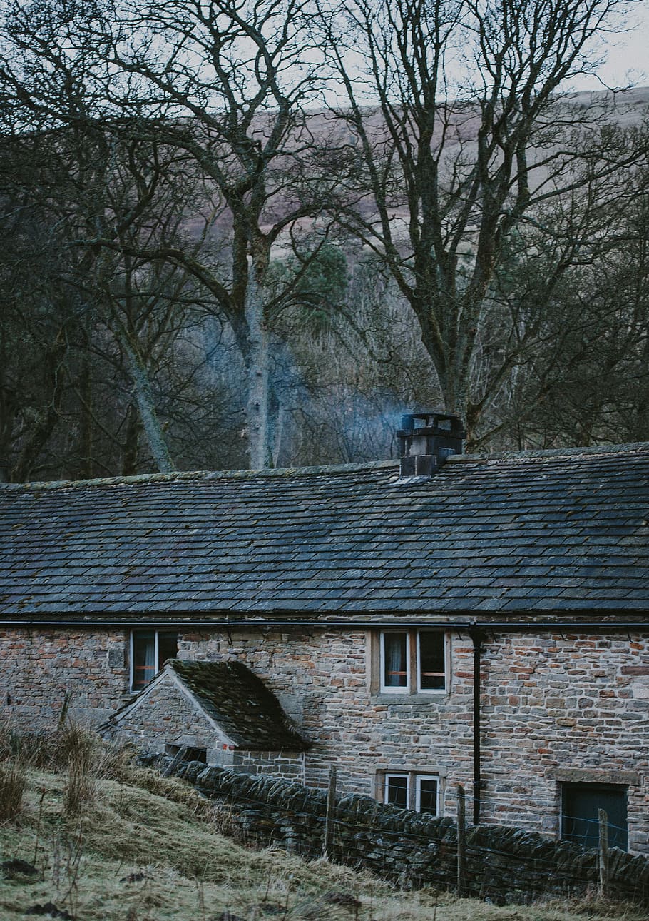 Dalehead Bunkhouse, gray concrete house near leafless trees, building HD wallpaper