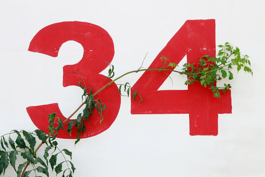 green vine plants, print, illustration, white, wall, numbers HD wallpaper