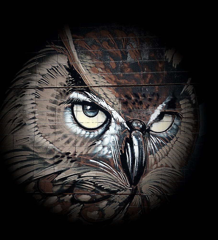 Drawing, Bird, Eagle Owl, art, animals, wildlife photography, HD wallpaper