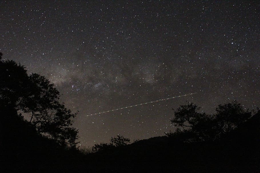 photography of tree during nighttime, time lapse of shooting star during nighttime HD wallpaper