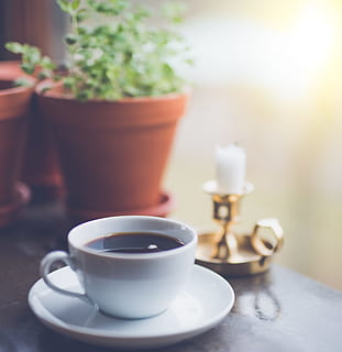 white ceramic cup filled with black liquid on top of saucer, selective focus photography of coffee cup on saucer beside candle and plant pot HD wallpaper