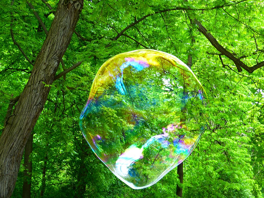 selective focus photo of a bobble, soap bubble, fly, weightless HD wallpaper