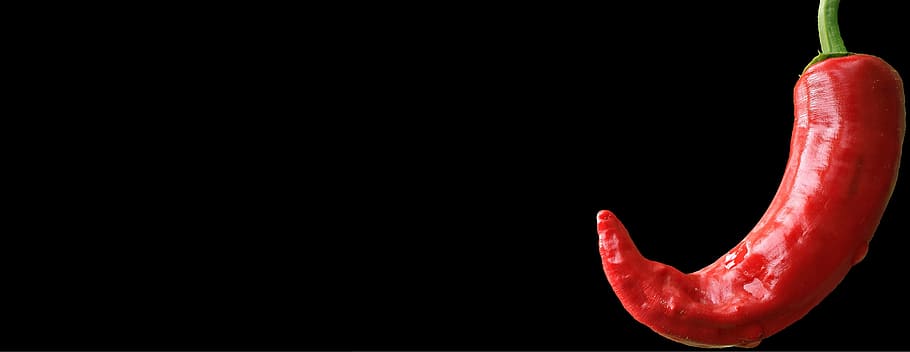 red chili wallpaper, pepperoni, sharp, paprika, sharpness, chilli HD wallpaper