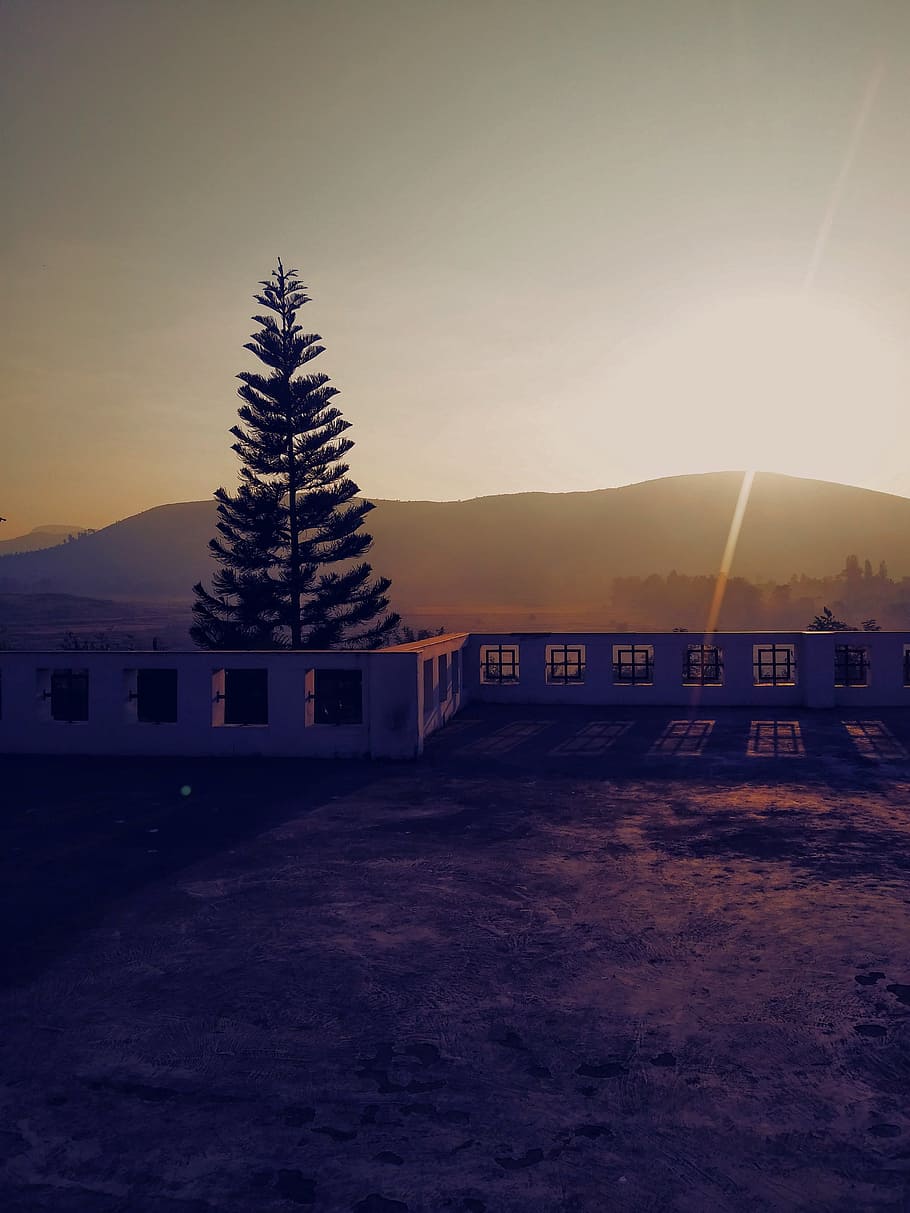 Concrete Bench Near Pine Tree Background of Mountain during Sunset HD wallpaper
