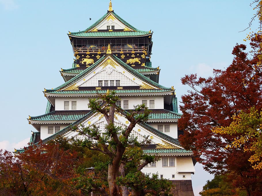 photo of blue and green pagoda, temple, day, time, castle, autumn HD wallpaper