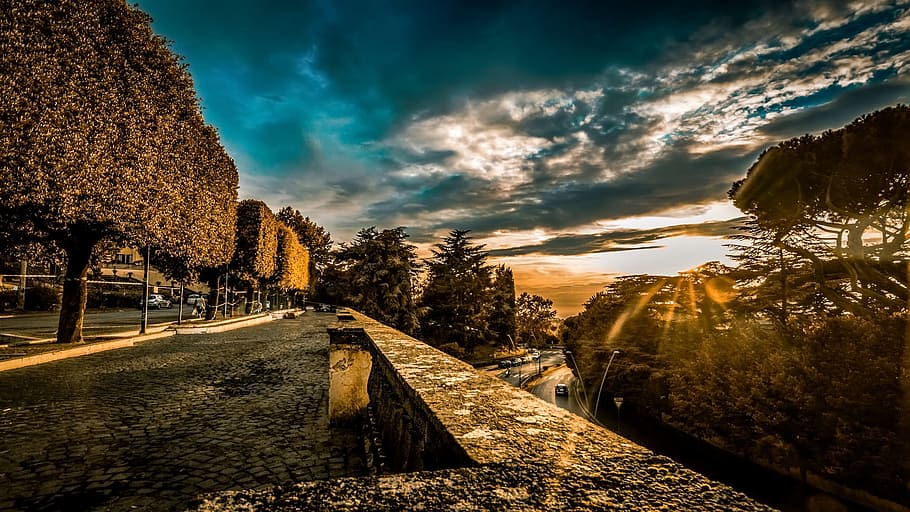 sunset, frascati, rome, sky, tree, plant, cloud - sky, direction HD wallpaper