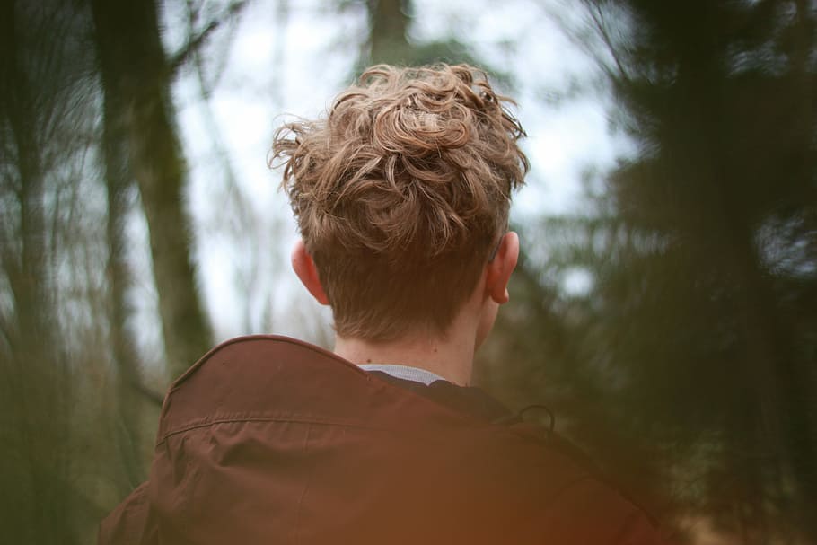 back view of person, man wearing brown jacket facing trees, forest HD wallpaper