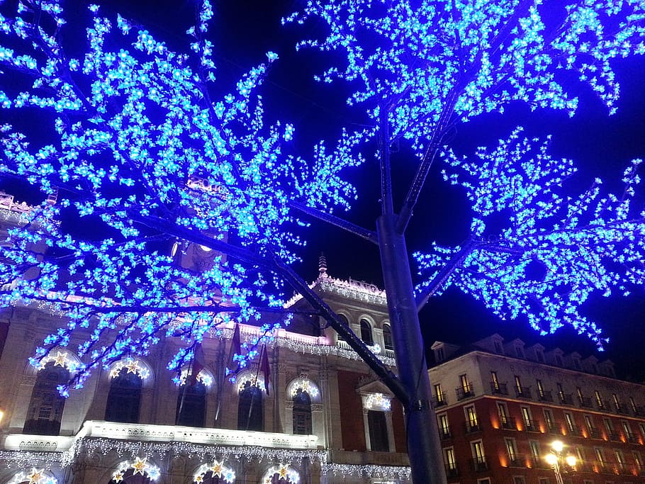 city, christmas, facade, night, illuminated, architecture, built structure HD wallpaper