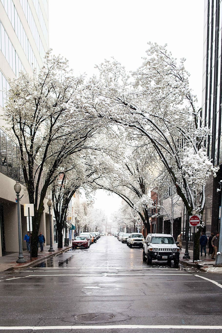 A Snowy Spring, white SUV, city, tree, street, road, people, building HD wallpaper