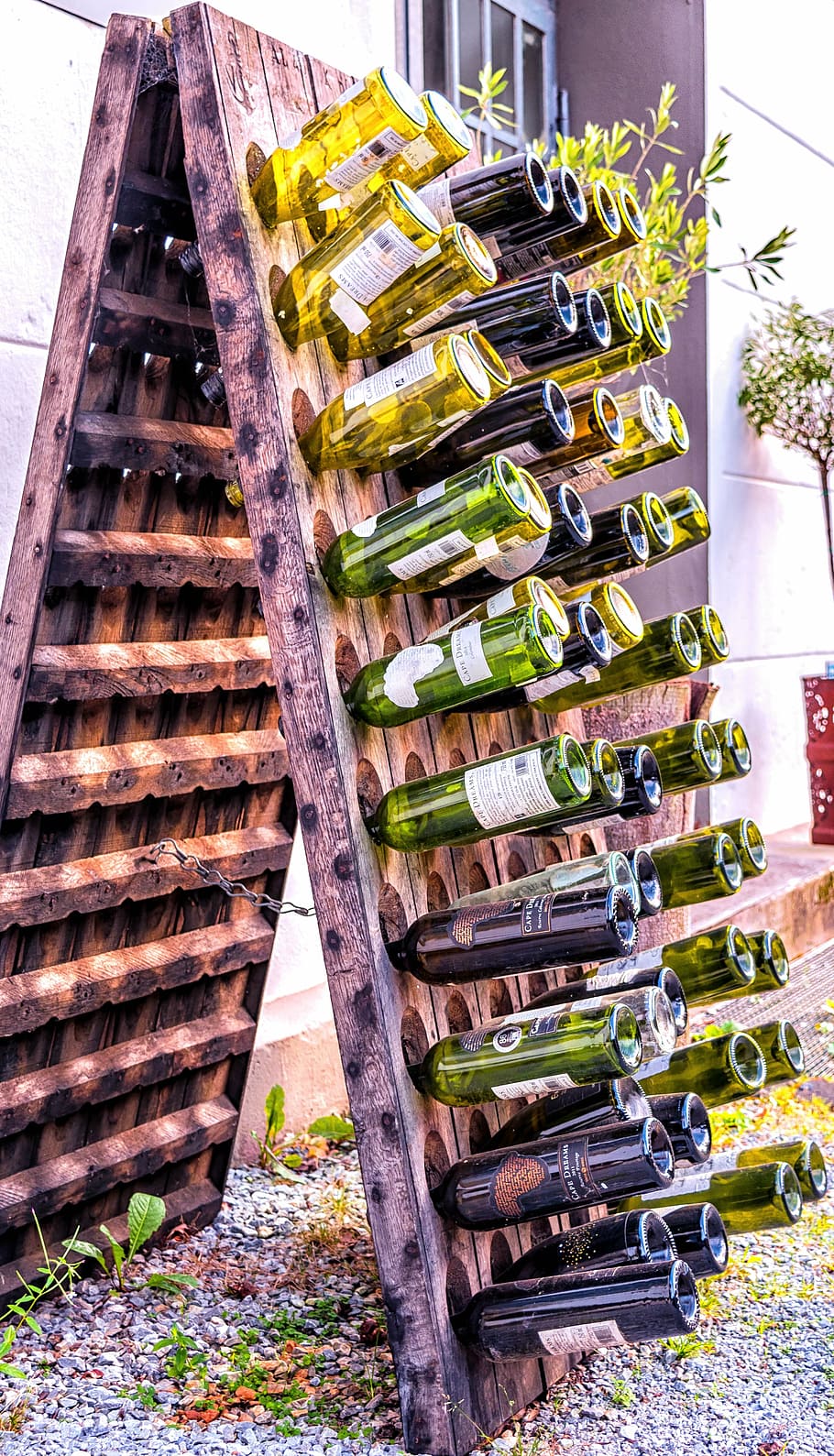 wine, bottle, shelf, wine rack, red wine, white wine, wines HD wallpaper