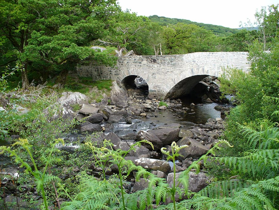 bridge, landscape, bach, nature, scenic, river landscape, plant HD wallpaper
