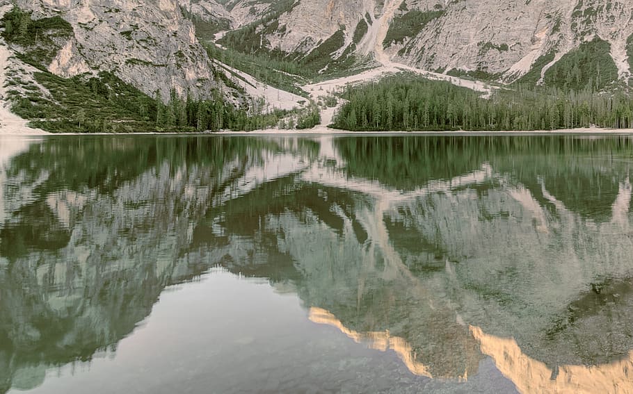 green tree under brown hill beside lake, aerial photography of gray rocky mountain surrounded with pine trees near lake at daytime HD wallpaper