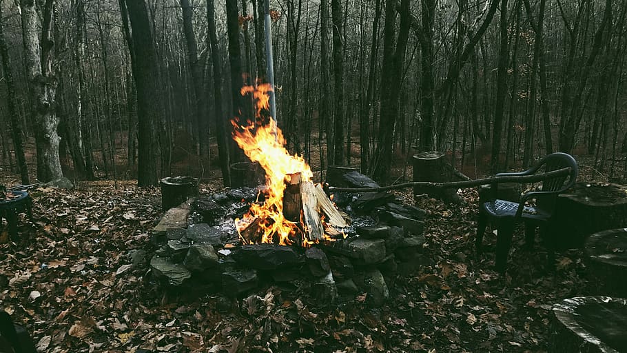 bonfire on forest, bone fire near black monobloc armchair over brown leafed trees HD wallpaper