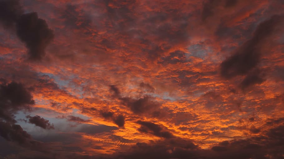 clouds during sunset, sky, red, pink, borneo, sunset on the sea HD wallpaper