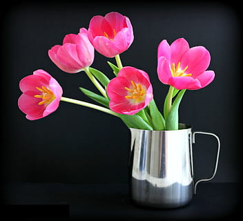 photo of pink tulip flowers in gray stainless steel pitcher HD wallpaper