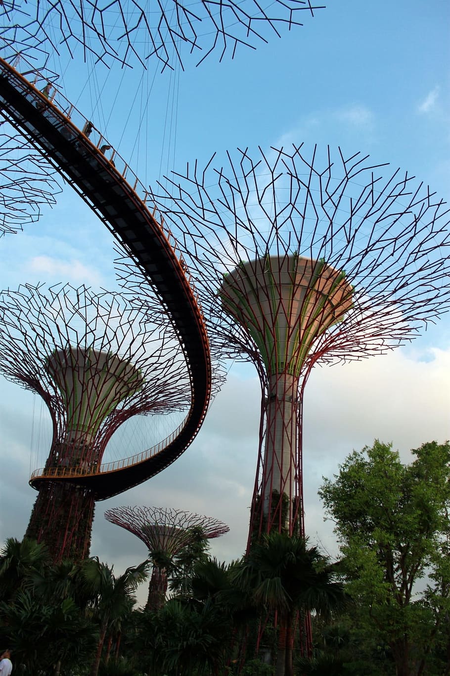 singapore, tree, sky, night, landmark, park, asia, modern, trees HD wallpaper
