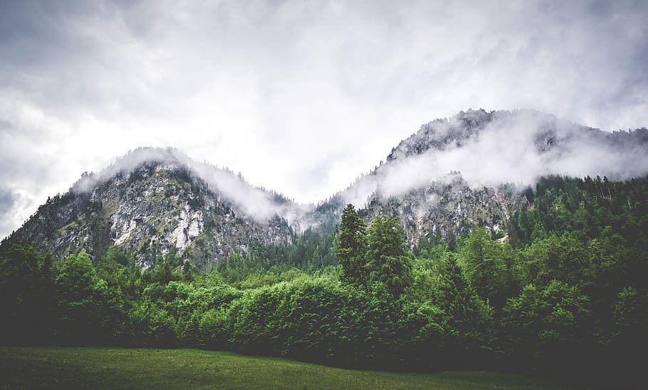 mountain, valley, clouds, trees, fogs, cold, green, grass, nature HD wallpaper
