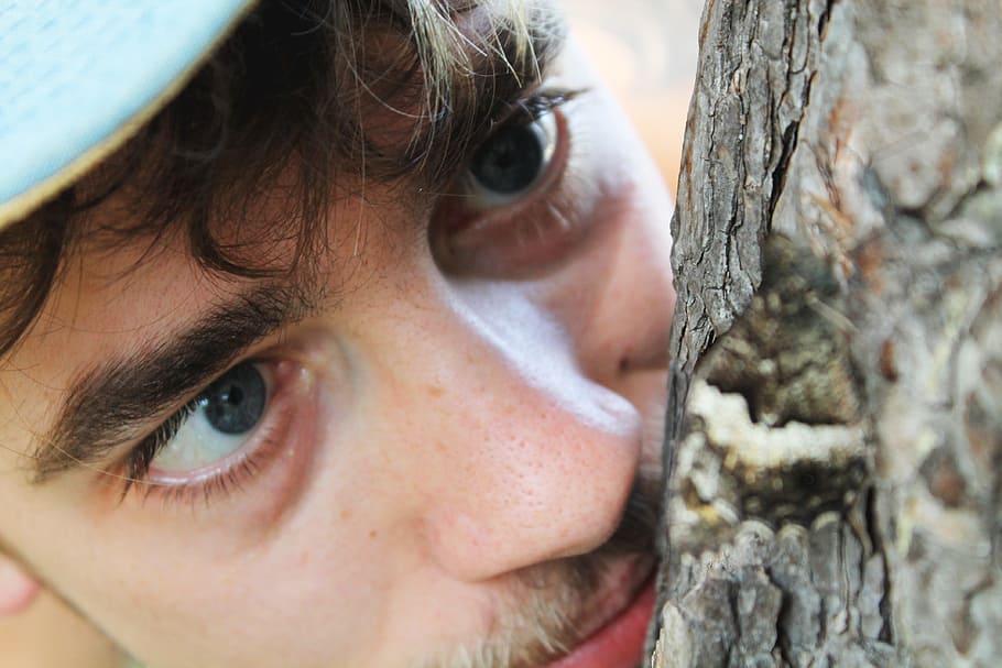 curiosity, man, butterfly, tree, observation, nature, garden HD wallpaper