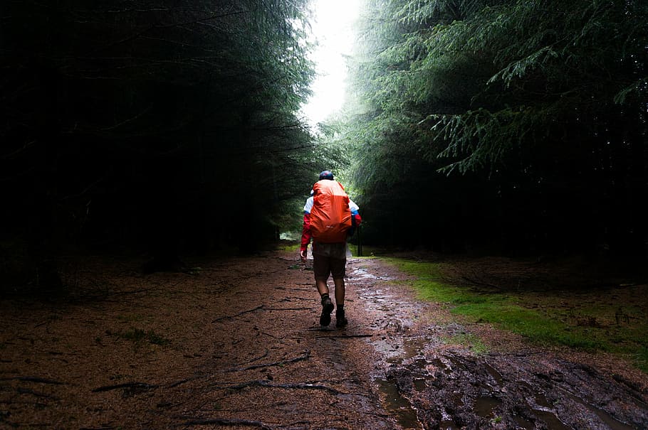 man carrying backpack while walking on brown dirt, men, trees HD wallpaper