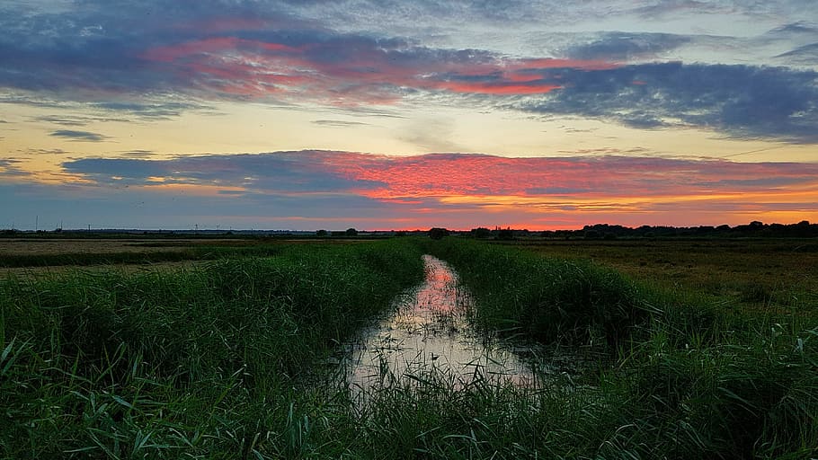 Landscape, Stream, Estuary, sunset, nature, field, agriculture HD wallpaper