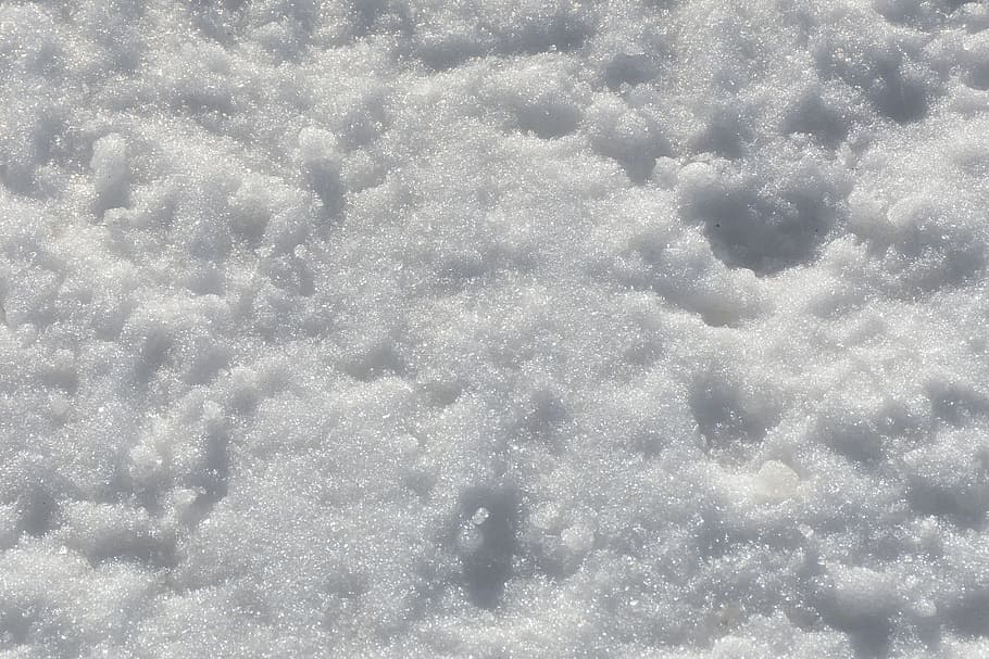 white snow, cold, winter, glitter, background, nature, cold temperature HD wallpaper