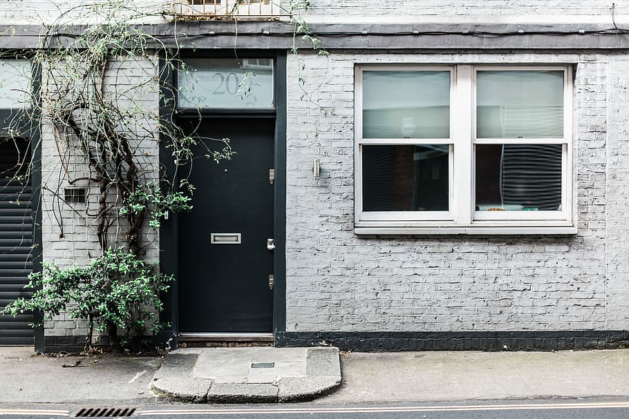 green leafed tree beside black wooden door, gray concrete house with black door HD wallpaper