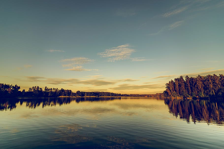 green leafed trees beside body of water, lake, sky, reflection HD wallpaper