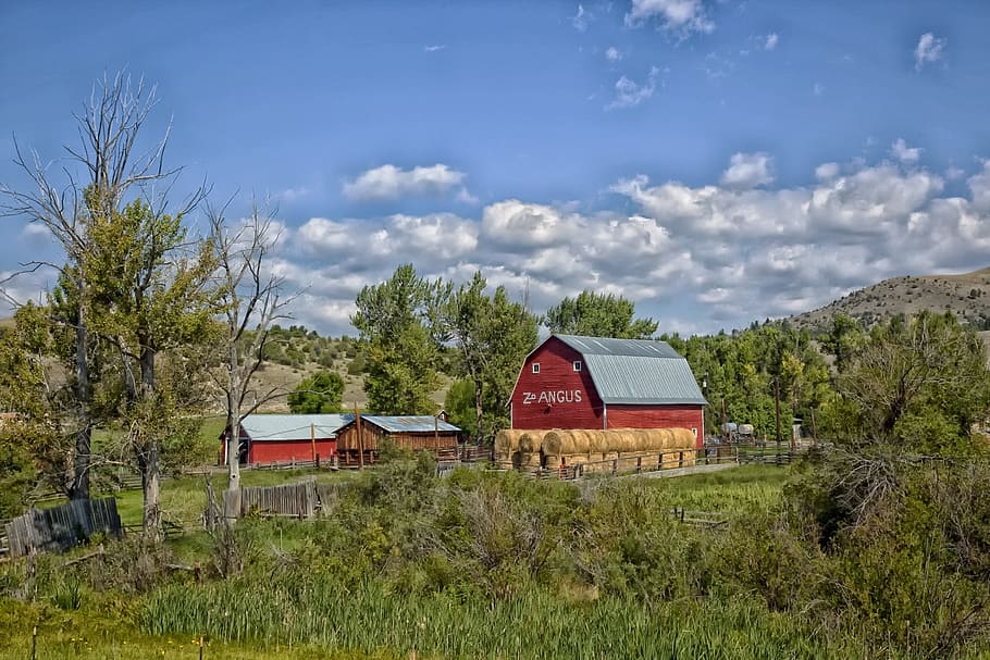 Montana, Farm, Barn, Rural, Landscape, scenic, trees, fields, HD wallpaper