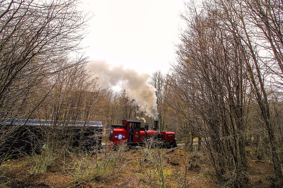 train, forest, trees, smoke, nature, lane, rail, trains, via train HD wallpaper