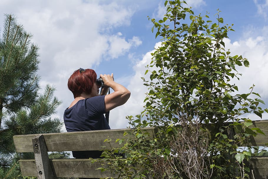 watch, study, nature, binoculars, spotting, vogelaar, recreation HD wallpaper