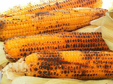 corn, corn on the cob, grilled corn, vegetables, food, food and drink HD wallpaper