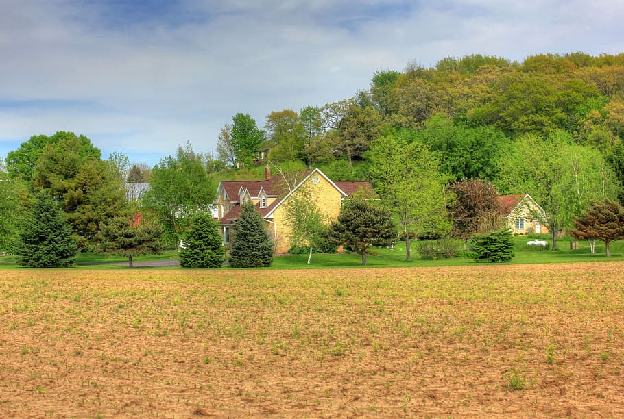House behind Trees, nature, rural Scene, autumn, outdoors, grass HD wallpaper