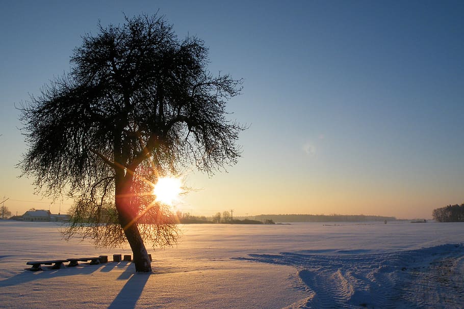 cold, snow, light, dawn, chair, dusk, evening, fog, ice, lake HD wallpaper