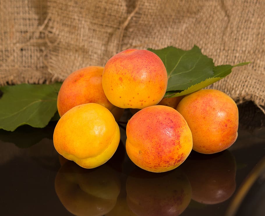 apricot, fruit, harvest, healthy eating, food and drink, freshness HD wallpaper