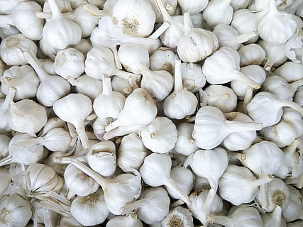 garlic, image, spice, white color, large group of objects, full frame HD wallpaper