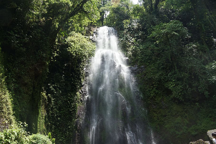 waterfall, nature, tree, motion, beauty in nature, scenics - nature HD wallpaper