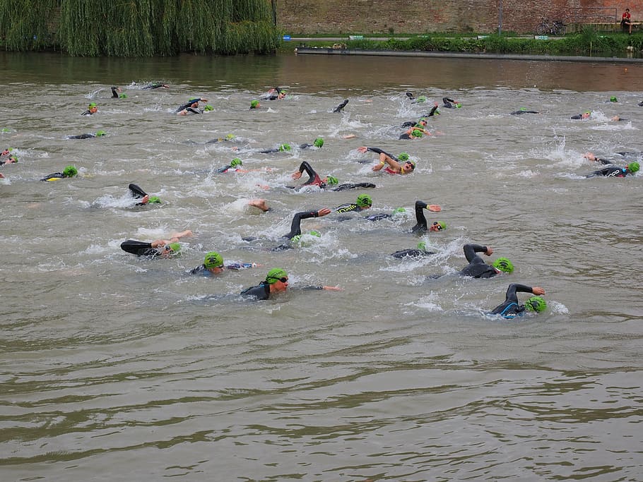 competition, crawl, involved, swim, track and field athletes HD wallpaper