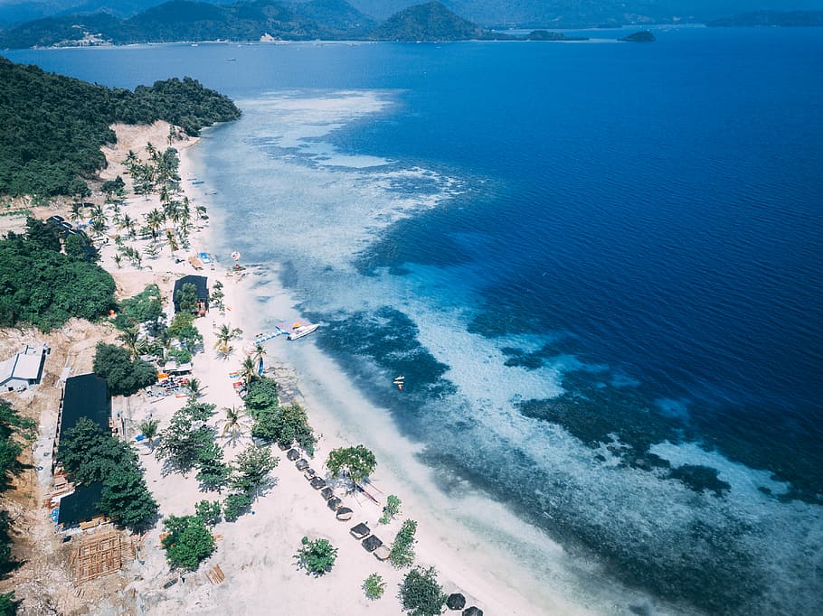 aerial photography of beach, sea, tree, sand, ocean, water HD wallpaper