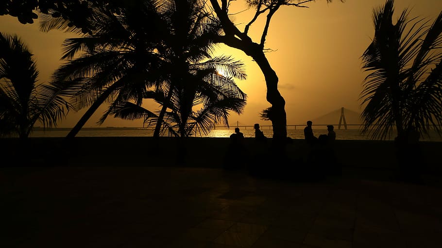 silhouette photo of person sitting near tree, nature, landscape HD wallpaper