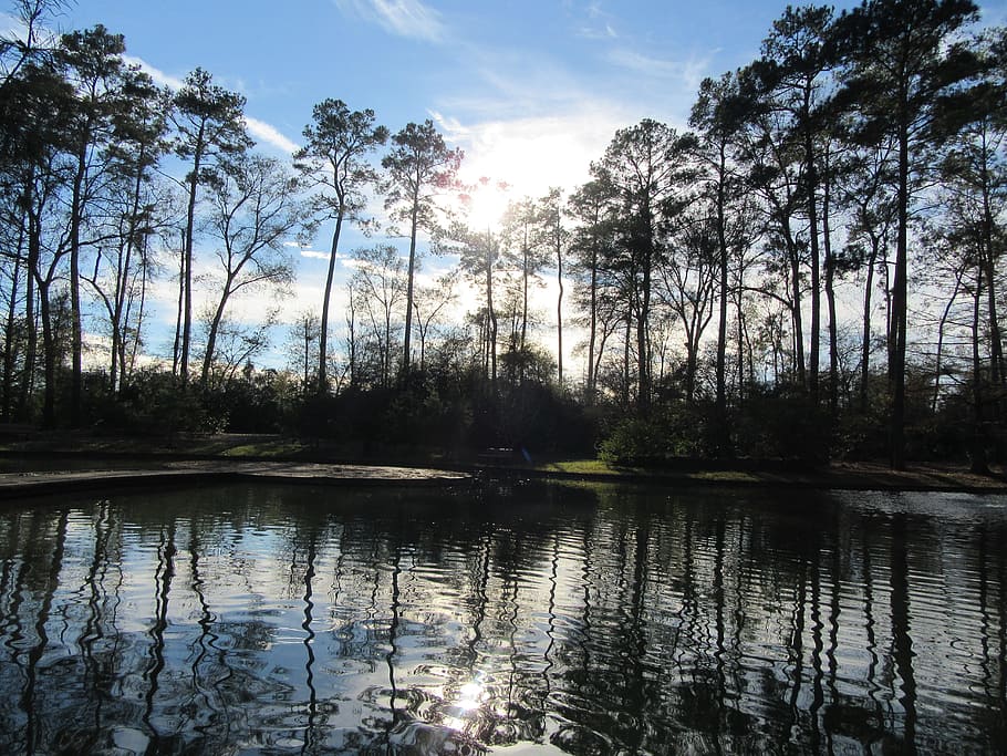 lake, water, reflection, trees, sky, sun, scene, scenic, scenery HD wallpaper