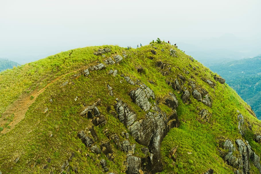 green grass on mountain, shallow focus photography of top of the mountain HD wallpaper