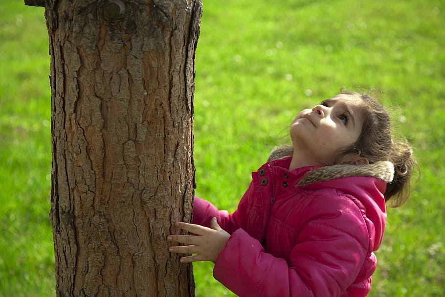 child, tree, nature, environmental, grass, love, outdoors, women HD wallpaper
