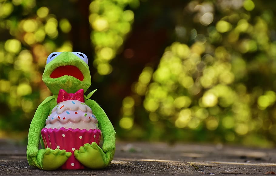kermit, frog, cupcake, funny, animal, stuffed animal, soft toy HD wallpaper