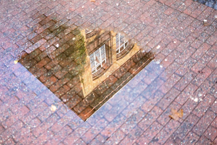 brown wall brick, mirroring, puddle, building, architecture, rain, HD wallpaper