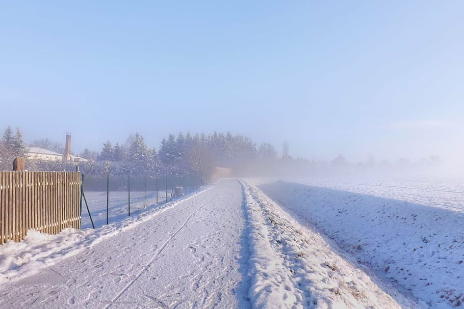 fog, winter impressions, wintry, snow, cold, winter magic, snowy HD wallpaper